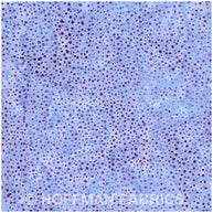 Hoffman Bali Dots Hyacinth 1/2m