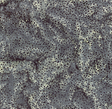 Hoffman Bali Dots Blacklight 1/2m
