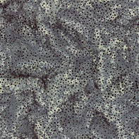 Hoffman Bali Dots Blacklight 1/2m