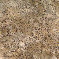 Hoffman Bali Dots Taupe 1/2m