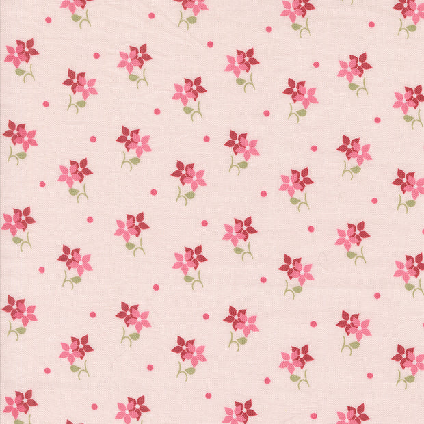 A Very Sweet Christmas Blush 1/2m