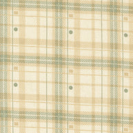 Acorn Hollow Checks and Plaids Ecru