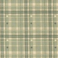 Acorn Hollow Checks and Plaids Sage