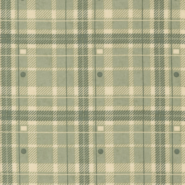 Acorn Hollow Checks and Plaids Sage