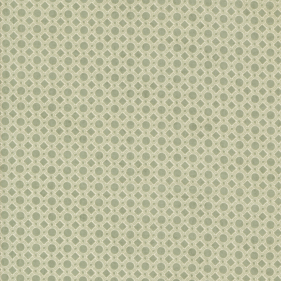 Acorn Hollow Geometric Dot Sage