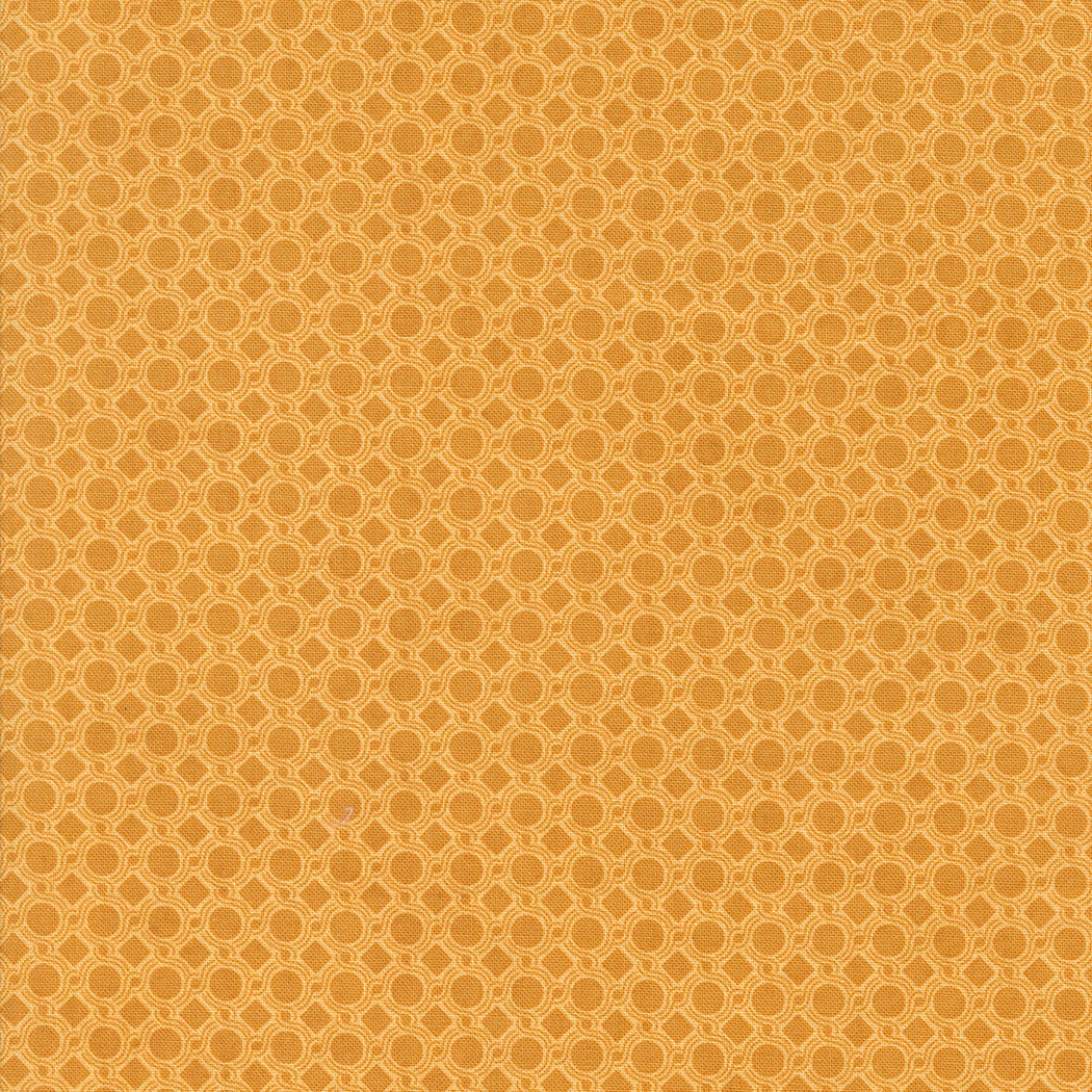 Acorn Hollow Geometric Dot Maize