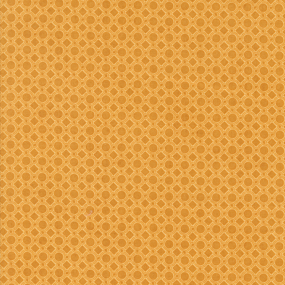 Acorn Hollow Geometric Dot Maize