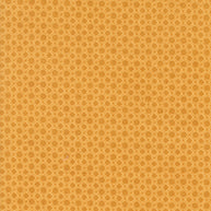 Acorn Hollow Geometric Dot Maize