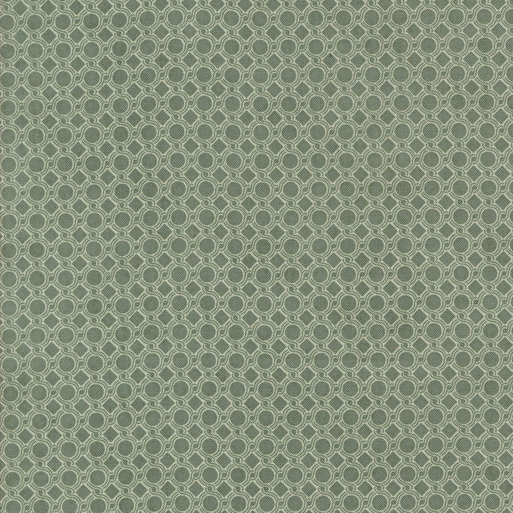 Acorn Hollow Geometric Dot Eucalyptus