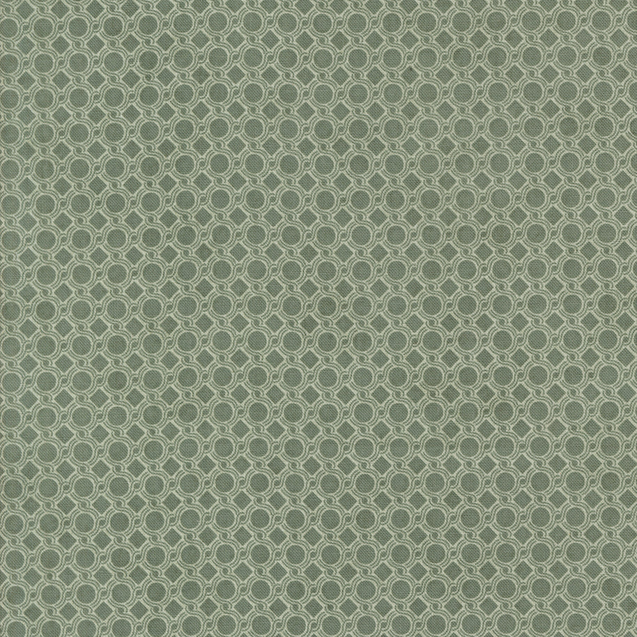 Acorn Hollow Geometric Dot Eucalyptus