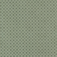 Acorn Hollow Geometric Dot Eucalyptus