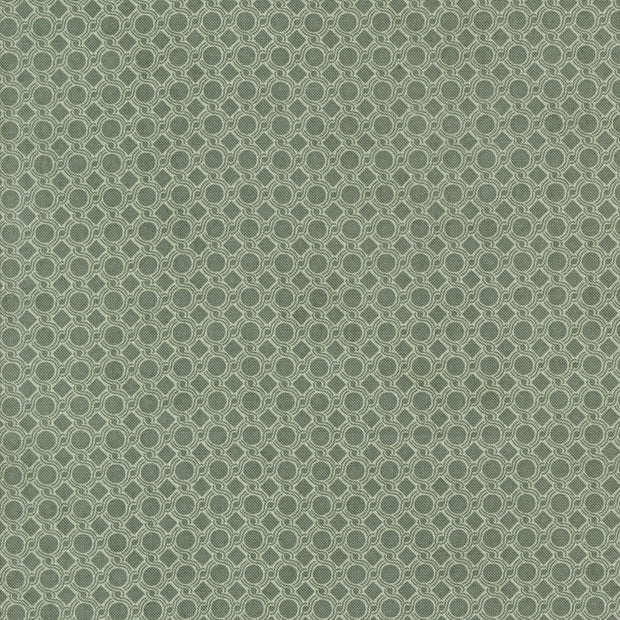 Acorn Hollow Geometric Dot Eucalyptus