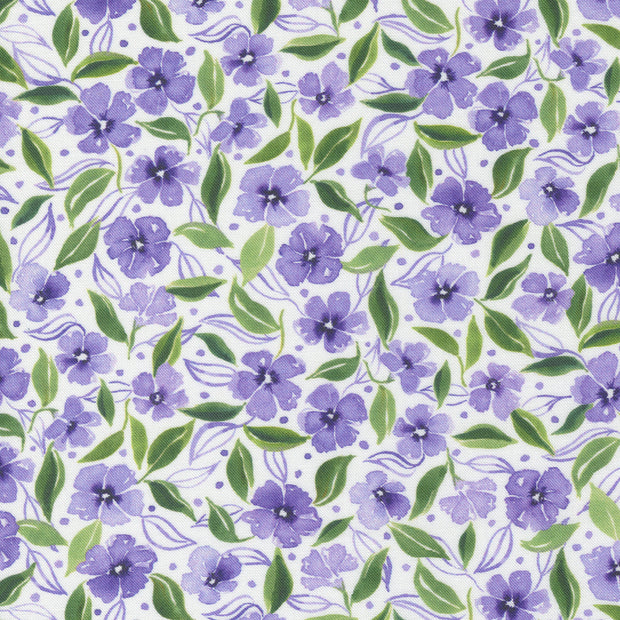 Chickadee Sweet As Honey Vinca