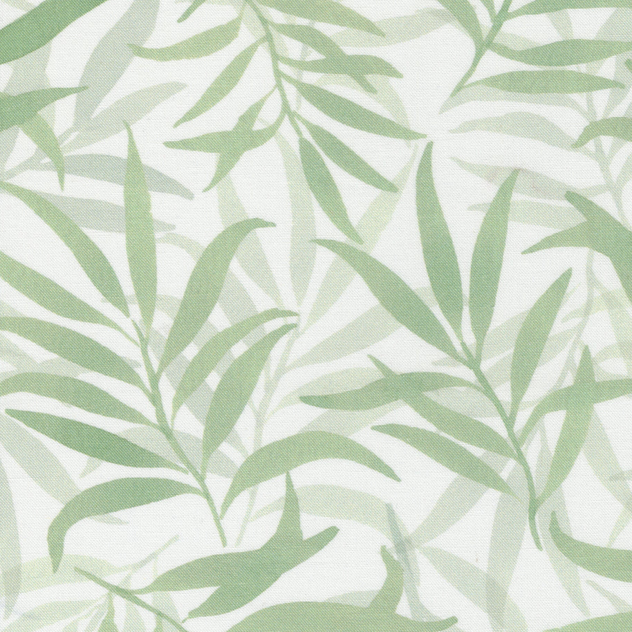 Chickadee Zephyr Sage