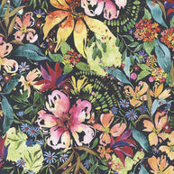 Moda Fabrics - Eufloria 1/2m