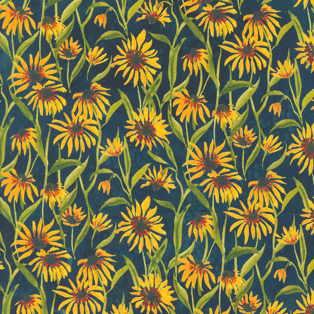Moda Fabrics - Floribunda Midnight 1/2m