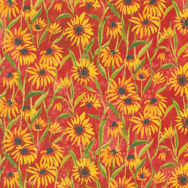 Moda Fabrics - Floribunda Spice 1/2m