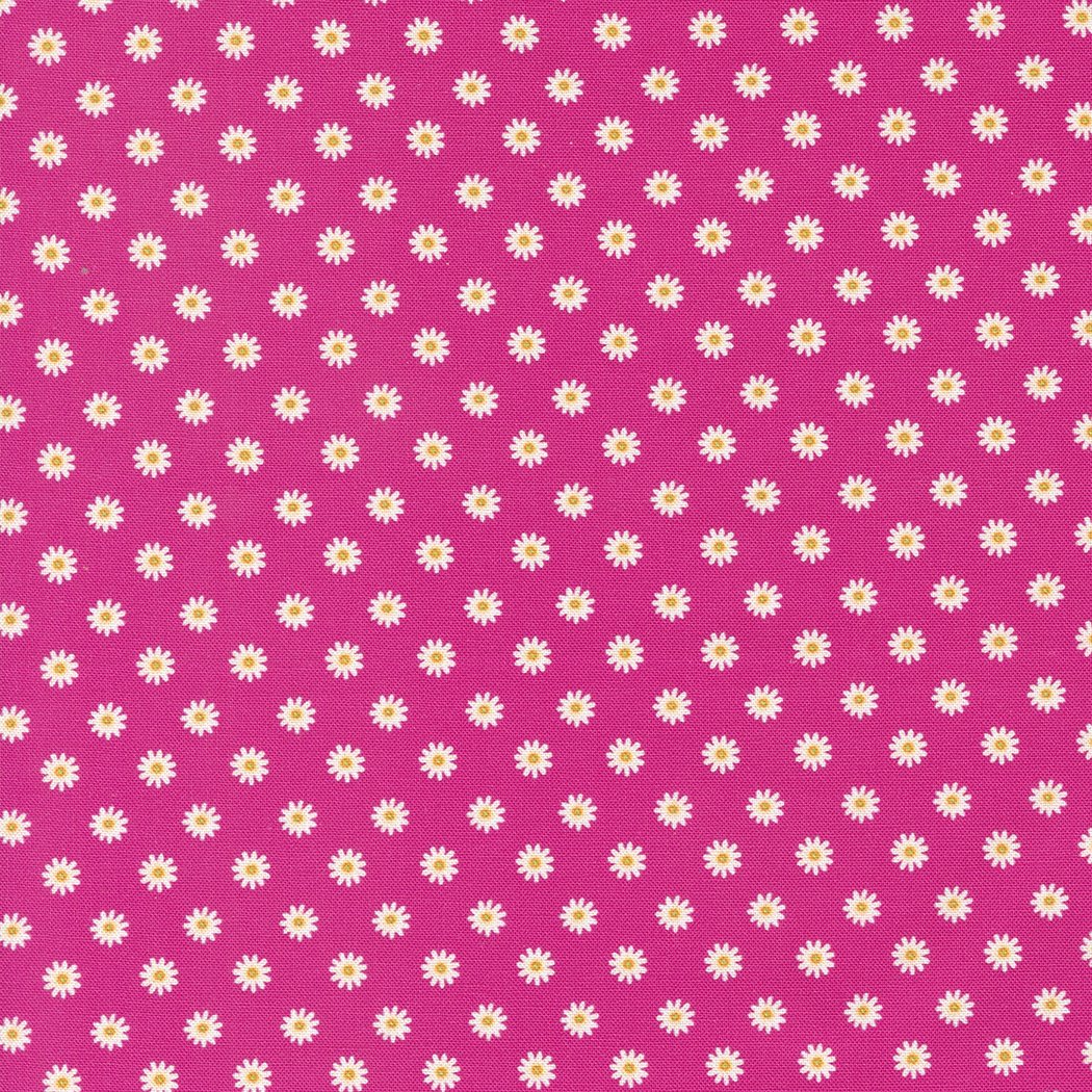 Moda Fabrics -Vintage Soul Hot Pink 1/2m