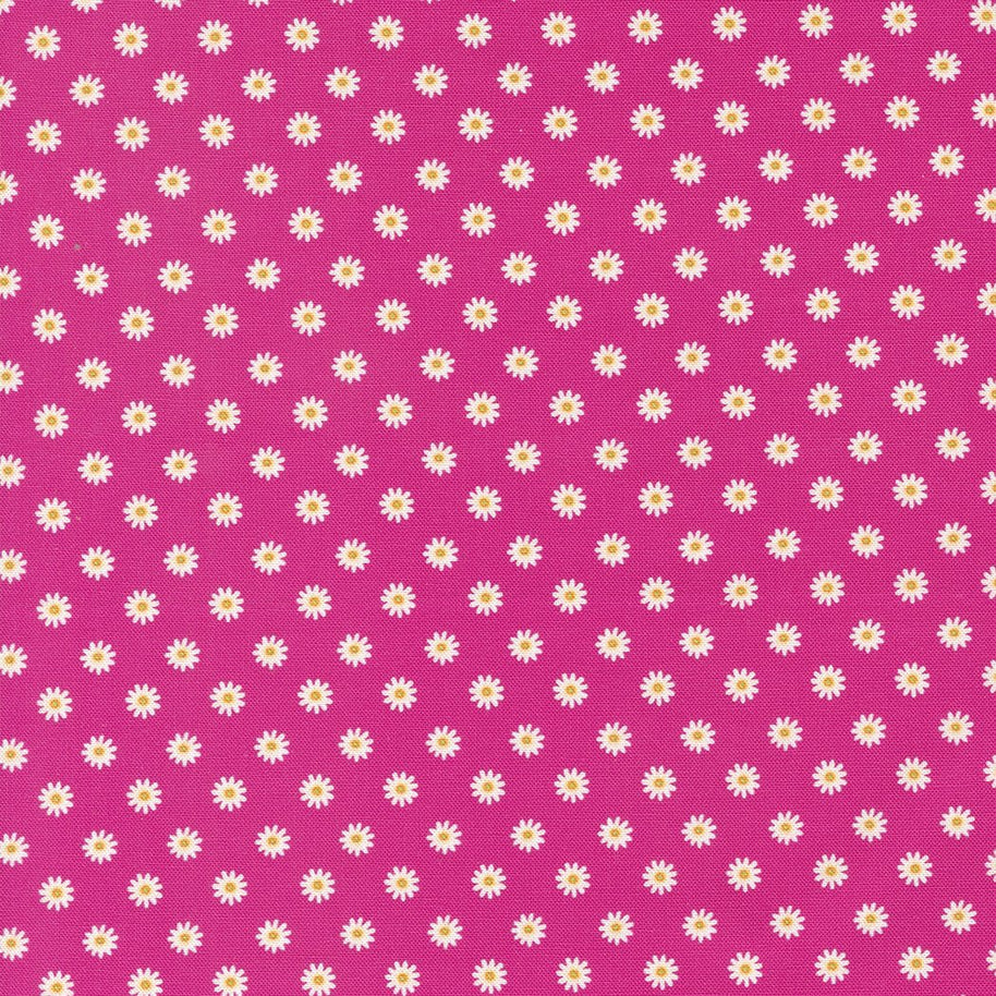 Moda Fabrics -Vintage Soul Hot Pink 1/2m