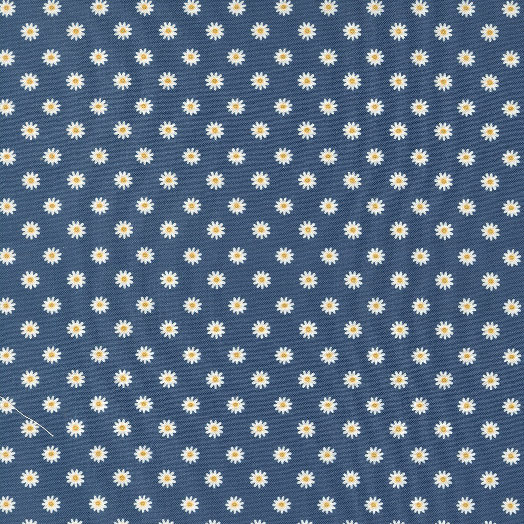 Moda Fabrics -Vintage Soul Horizon1/2m