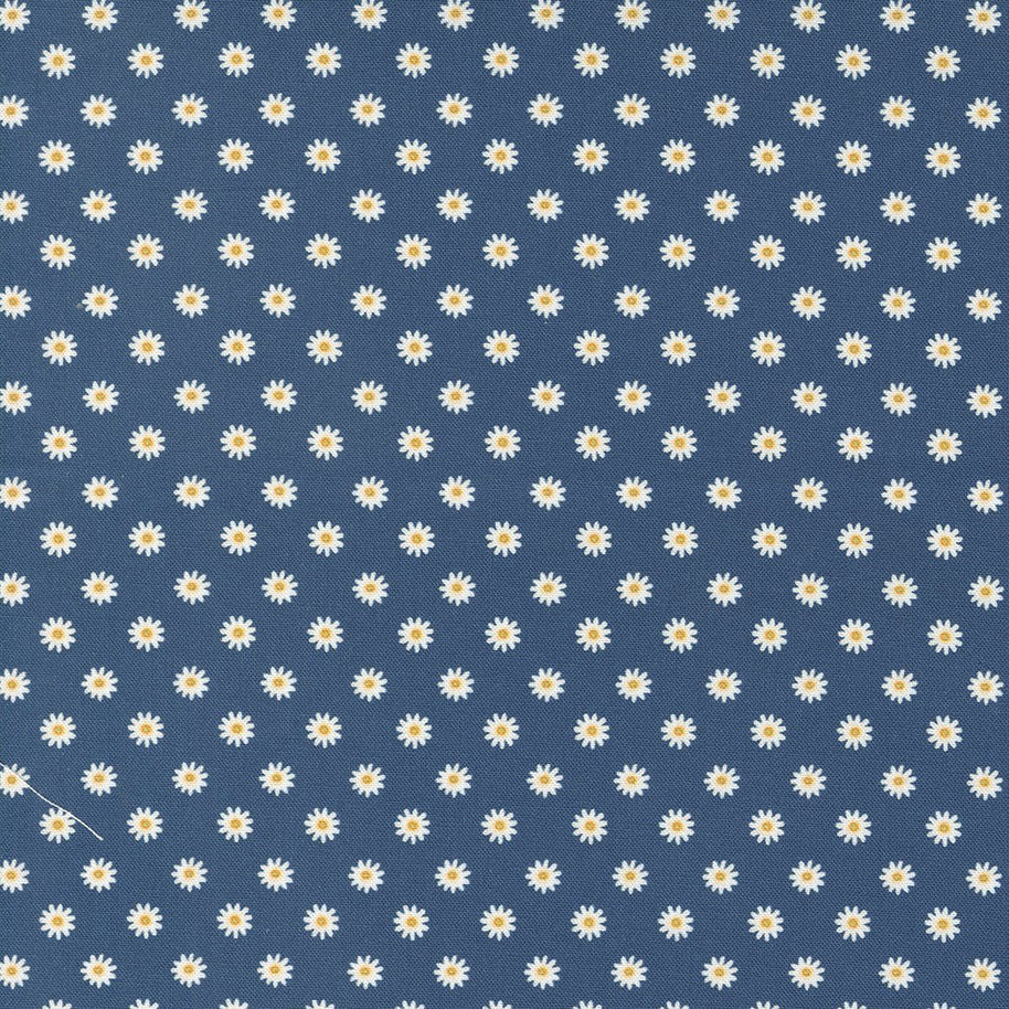 Moda Fabrics -Vintage Soul Horizon1/2m