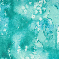 Moda Fabrics - Coming Up Roses 1/2m