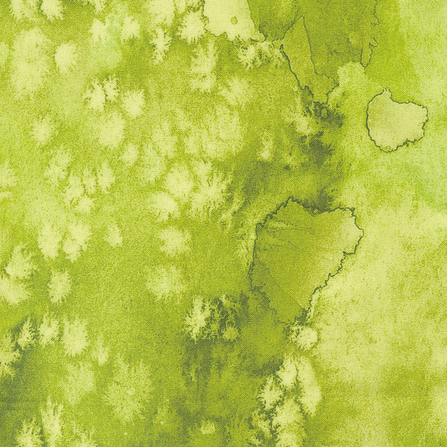 Moda Fabrics - Coming Up Roses 1/2m