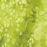 Moda Fabrics - Coming Up Roses 1/2m