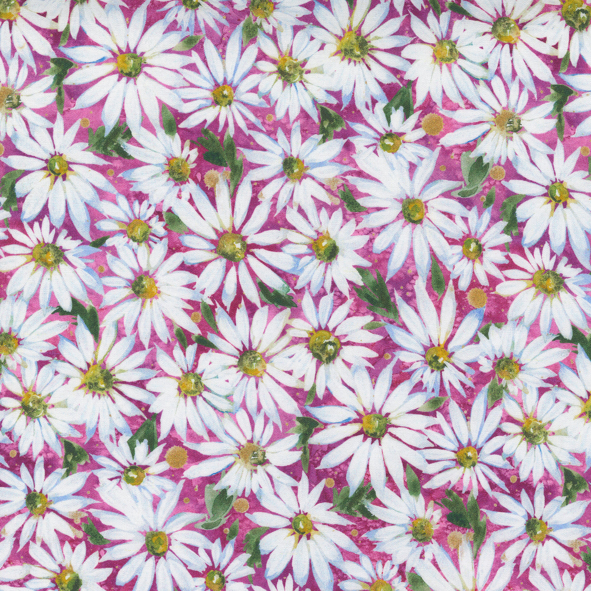Fresh as a Daisy Magenta