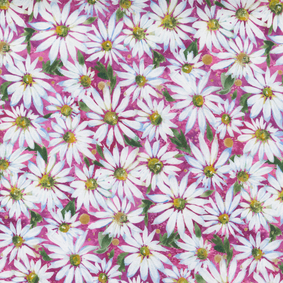 Fresh as a Daisy Magenta