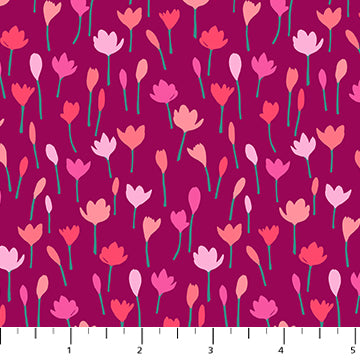 91005-28 Crocus Magenta, Florescence 1/2m