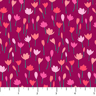 91005-28 Crocus Magenta, Florescence 1/2m