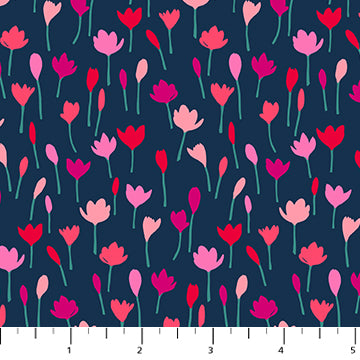 91005-49 Crocus Navy, Florescence 1/2m
