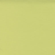 9900-100 Light Lime Bella Solids 1/2m