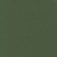 9900-149 Kansas Green Bella Solids 1/2m