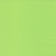 9900-163 Amelia Green Bella Solids 1/2m