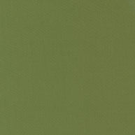 9900-175 Terrain Cactus Bella Solids 1/2m