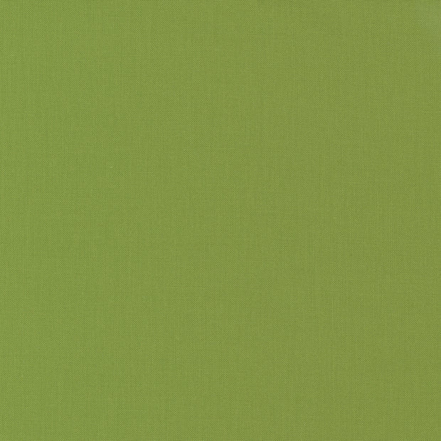 9900-192 Leaf Bella Solids 1/2m