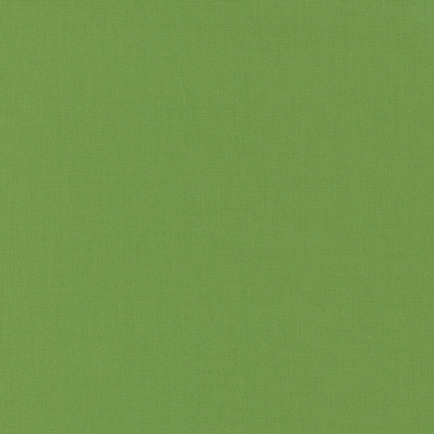 9900-228 Fresh Grass, Bella Solids 1/2m