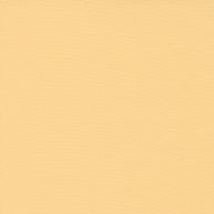 9900-036 Butterscotch, Bella Solids 1/2m