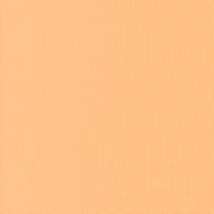 9900-480 Peach Fizz, Bella Solids 1/2m