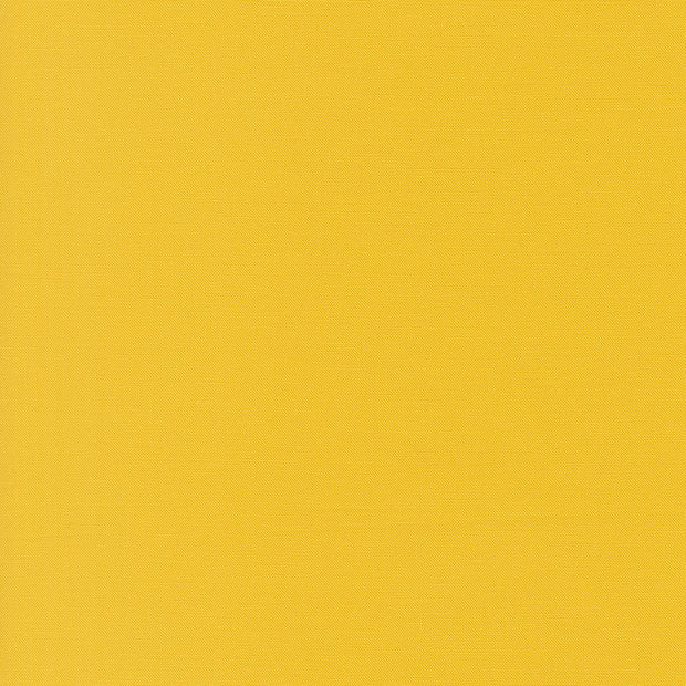 9900-484 Zest, Bella Solids 1/2m