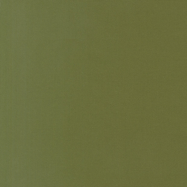 9900-487 Cypress, Bella Solids 1/2m
