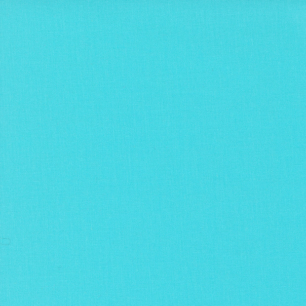9900-85 Robins Egg Bella Solids 1/2m