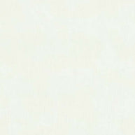 Baby White 1/2m