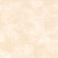 Vanilla 1/2m