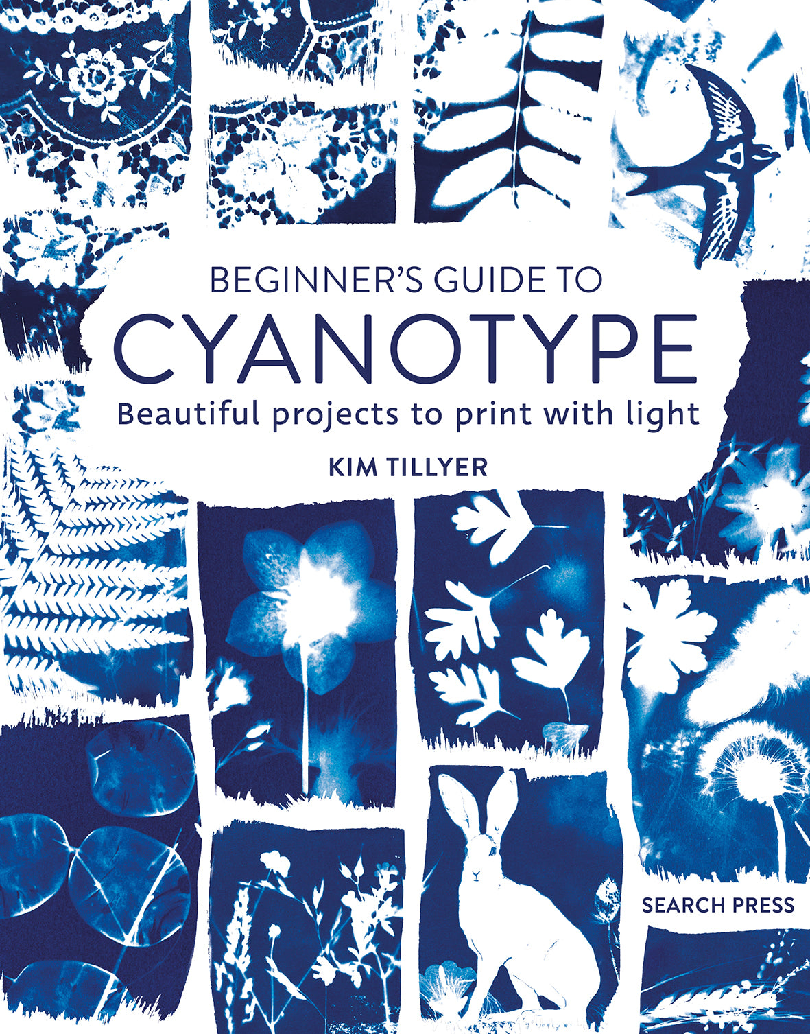 Beginners Guide to Cyanotype