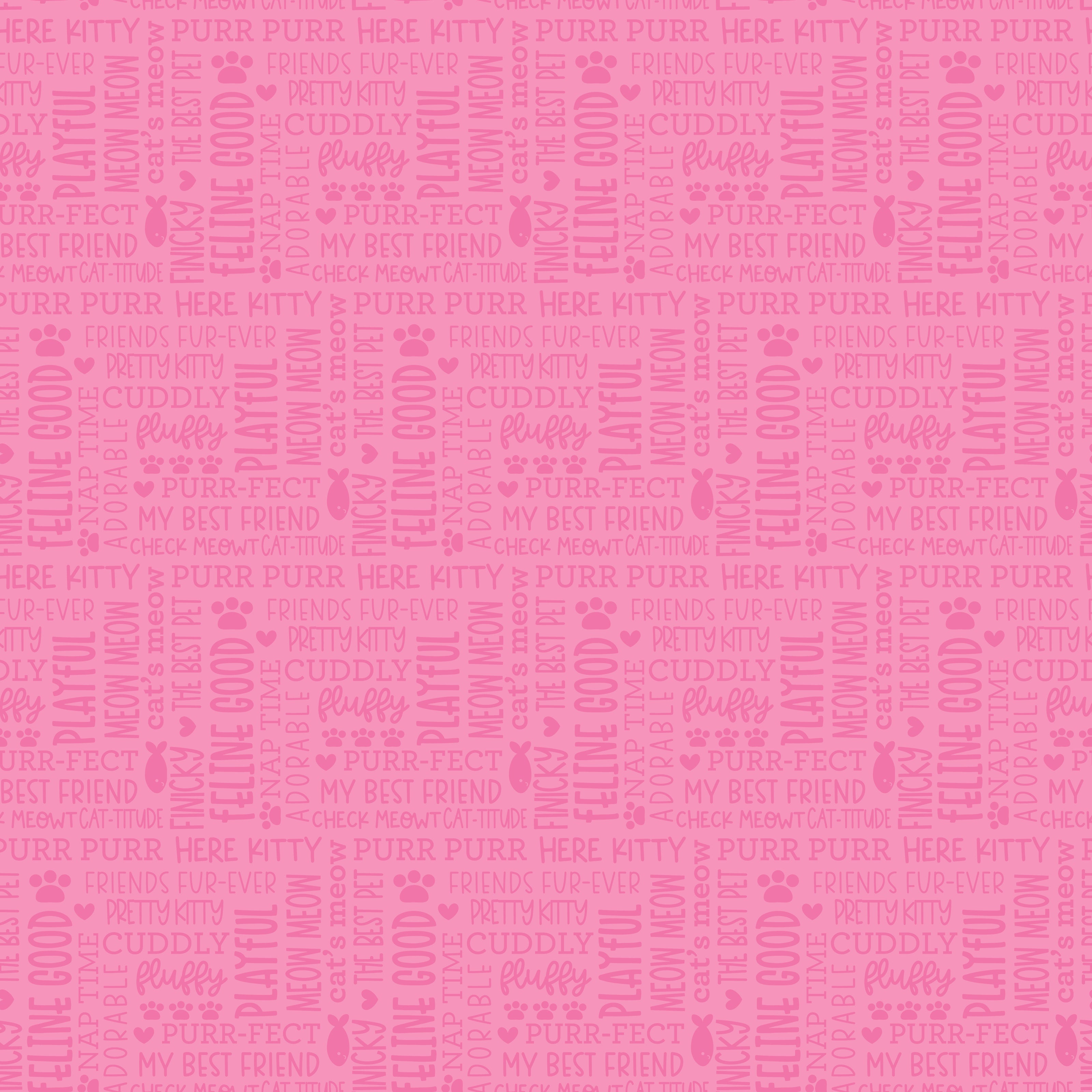 Pretty Kitty Pink Talk