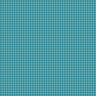 Precious Petites Blue Checks