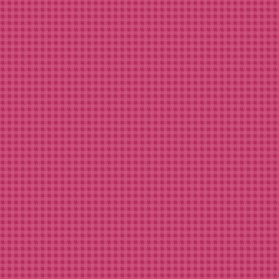 Precious Petites Magenta Checks